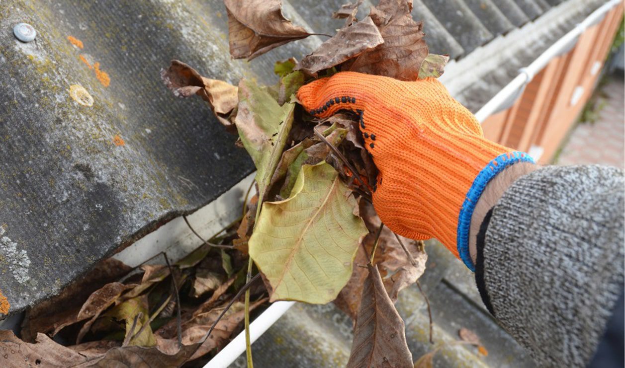 close up shot of man cleaning a gutter