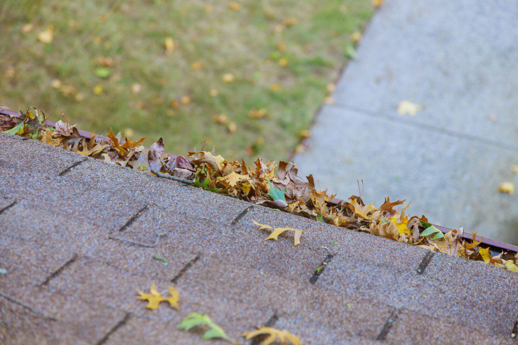 close up shot of a roof gutter filled with leaves