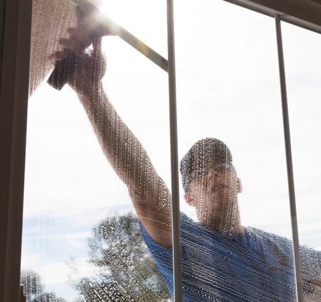 proelite worker cleaning exterior side of window