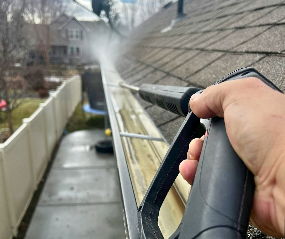 ProElite Gutter Cleaning